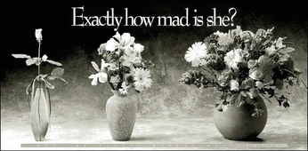 A cover of "ads" cluster. The owner is shloked. The cluster consists of 10 elements.