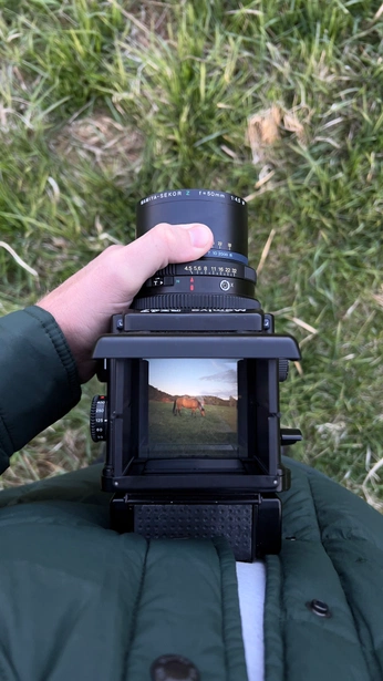 A cover of "the lifestyle" cluster. The owner is carl.x. The cluster consists of 14 elements.