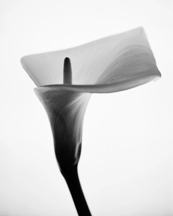 A cover of "charcoal" cluster. The owner is serhf. The cluster consists of 3 elements.