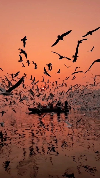 A cover of "10/10" cluster. The owner is vladdita. The cluster consists of 35 elements.