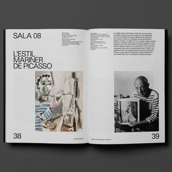 A cover of "Type Design" cluster. The owner is pedronamba. The cluster consists of 5 elements.