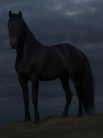 A cover of "scenic." cluster. The owner is jorgeartz. The cluster consists of 3 elements.