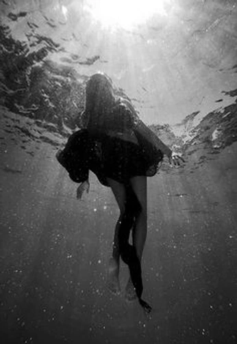 A cover of "2025 Brand Vibes" cluster. The owner is spinnaker1. The cluster consists of 91 elements.