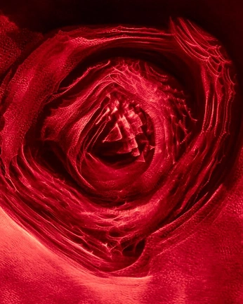 A cover of "andres fondos" cluster. The owner is isamata. The cluster consists of 2 elements.