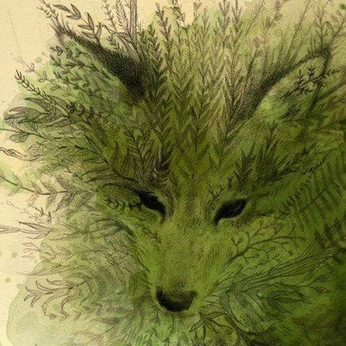 A cover of "Enchanted Forest" cluster. The owner is gjgreenlea. The cluster description is "Cover photo by Leslie Evans". The cluster consists of 14 elements.