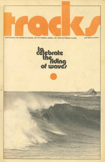 A cover of "SINGLE FIN 70S" cluster. The owner is indidz. The cluster consists of 3 elements.