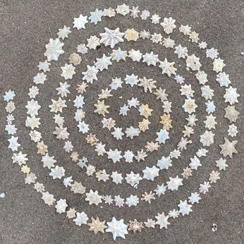 A cover of "altar" cluster. The owner is aliye. The cluster consists of 110 elements.