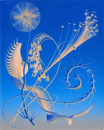 A cover of "Humanity - Design System" cluster. The owner is anapiligrim. The cluster consists of 12 elements.