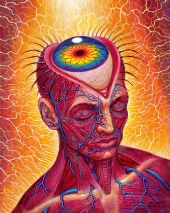 A cover of "THATS INSANE" cluster. The owner is cor.rinne. The cluster consists of 1 element.