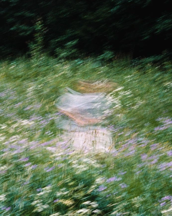 A cover of "Lorene" cluster. The owner is sgennaa. The cluster consists of 15 elements.