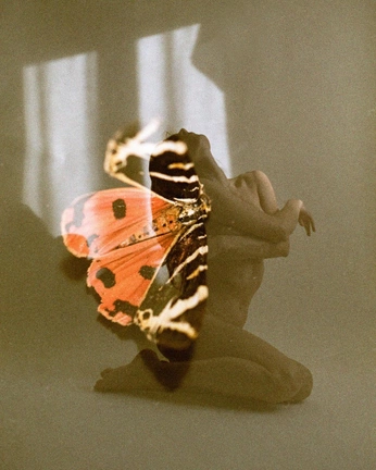 A cover of "Art" cluster. The owner is kat1396. The cluster consists of 14 elements.