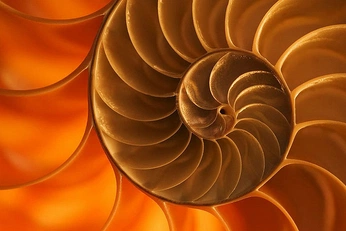 A cover of "Anaweb" cluster. The owner is mativalo. The cluster consists of 6 elements.