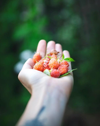 A cover of "SUMMER INSPIRATION" cluster. The owner is catherinerandall. The cluster consists of 1 element.