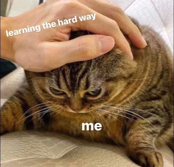 A cover of "Memes" cluster. The owner is annpc. The cluster consists of 22 elements.