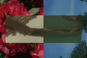 A cover of "Split" cluster. The owner is adrianadermann. The cluster consists of 13 elements.