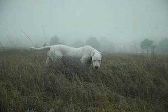 A cover of "test" cluster. The owner is samuellarocque. The cluster consists of 2 elements.