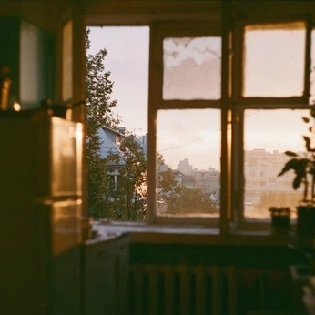 A cover of "the willow garden" cluster. The owner is ghostworld. The cluster description is "In our days we will live like our ghosts will live". The cluster consists of 128 elements.