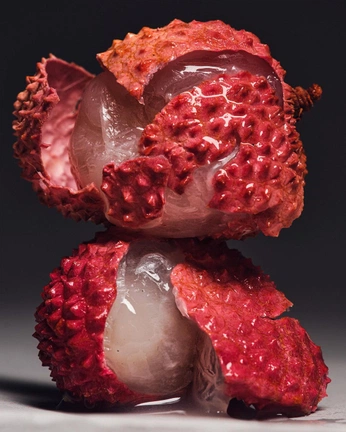 A cover of "patrion n+" cluster. The owner is antonia.ebner. The cluster consists of 19 elements.