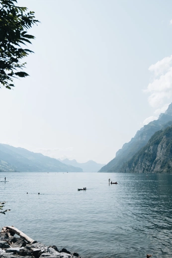 A cover of "6 - Swiss simplicity" cluster. The owner is ationstudio. The cluster consists of 32 elements.