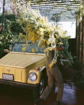 A cover of "Mdahx" cluster. The owner is anprince. The cluster consists of 84 elements.