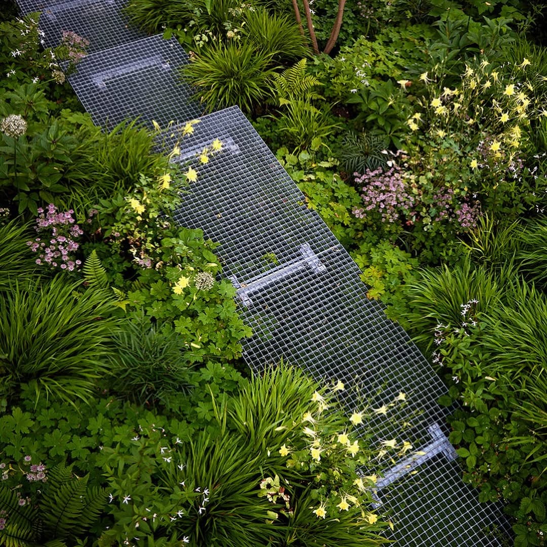 Elevated pathway in a Walthamstow garden.