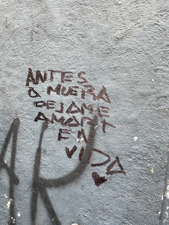 A cover of "yo" cluster. The owner is maafeespitia. The cluster consists of 1 element.