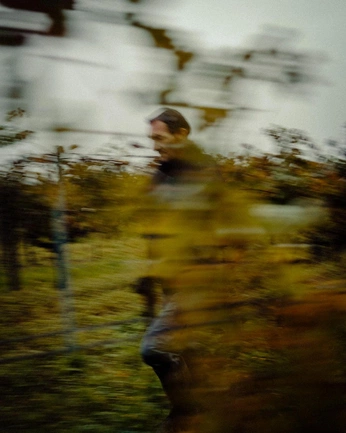 A cover of "wine collage" cluster. The owner is marigabytal. The cluster consists of 12 elements.