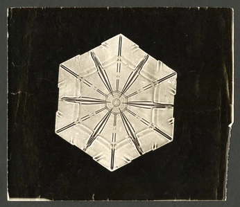 A cover of "SNOWFLAKES" cluster. The owner is cctreats. The cluster consists of 10 elements.