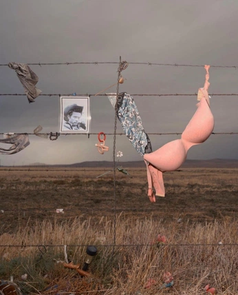 A cover of "art" cluster. The owner is manudemonti. The cluster consists of 58 elements.