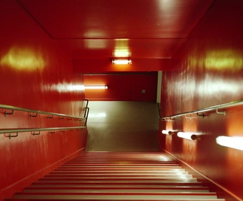 A cover of "scene" cluster. The owner is bobo.psd. The cluster consists of 5 elements.