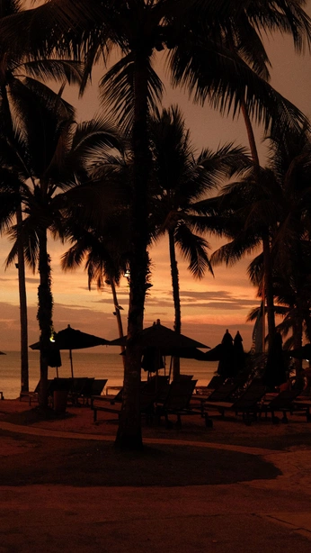 A cover of "Vibe" cluster. The owner is why. The cluster consists of 160 elements.