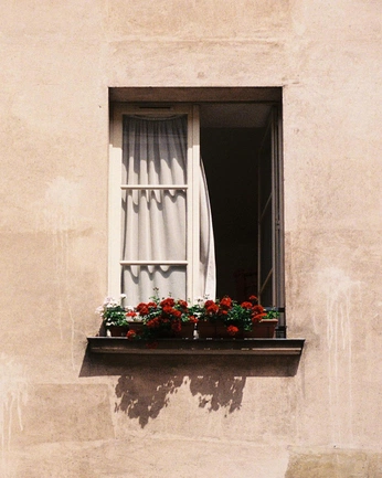 A cover of "Windows" cluster. The owner is ikatees. The cluster consists of 10 elements.