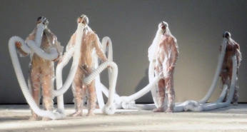 A cover of "Performance" cluster. The owner is irvingdiptera. The cluster consists of 20 elements.