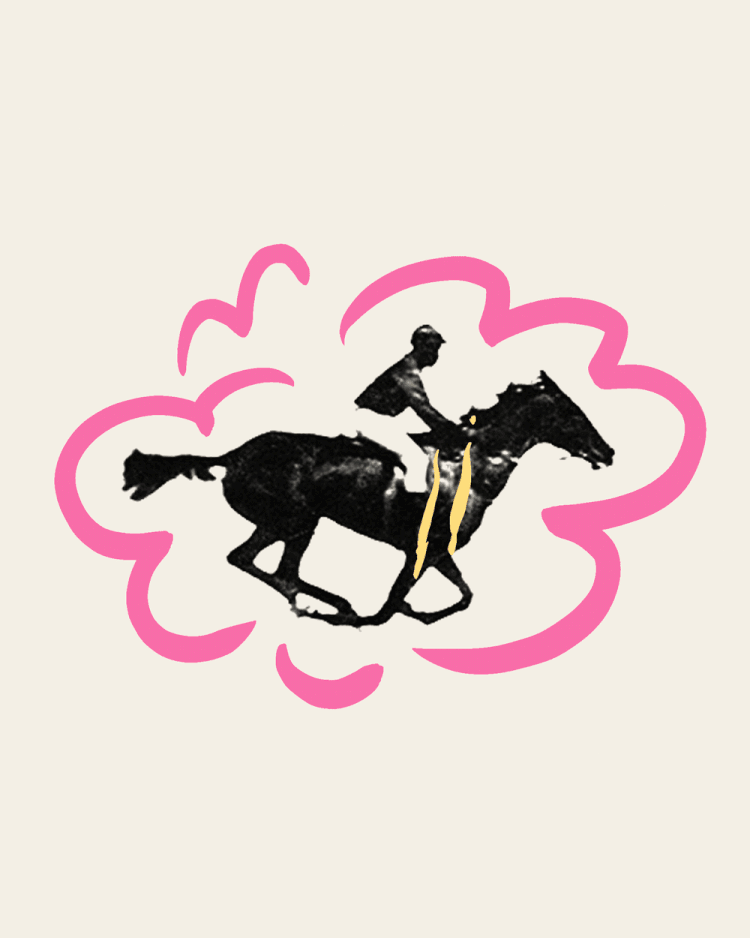 The Horse in Motion (1878) by Eadweard Muybridge, featuring the horse Sallie Gardner.