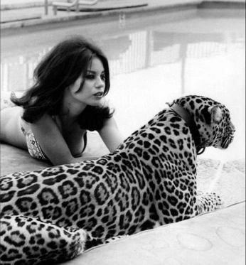 A cover of "Mujer Jaguar vibes" cluster. The owner is celinadl27. The cluster consists of 2 elements.