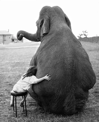 A cover of "Circus Machine" cluster. The owner is ninaprodanova. The cluster consists of 5 elements.