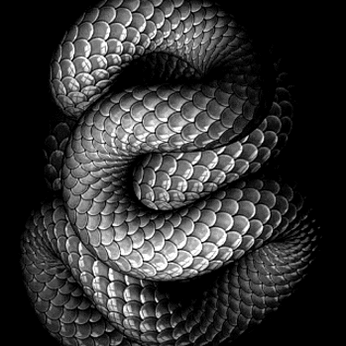 A cover of "Libtech - Orca & TRPro" cluster. The owner is thisdesign. The cluster description is "Inspiration behind the 25/26 Travis Rice Libtech collection". The cluster consists of 63 elements.