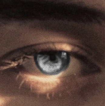 A cover of "Quiet Vision" cluster. The owner is elsajiud. The cluster consists of 4 elements.