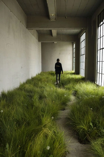 A cover of "greens" cluster. The owner is lsaavedra. The cluster consists of 6 elements.