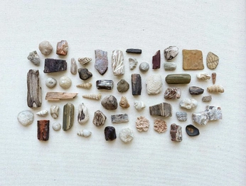 A cover of "Rocks" cluster. The owner is simone5. The cluster consists of 1 element.