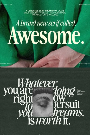 A cover of "FONTS" cluster. The owner is basarselvi25. The cluster consists of 1 element.