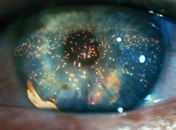 A cover of "motion" cluster. The owner is nordinrzk. The cluster consists of 20 elements.