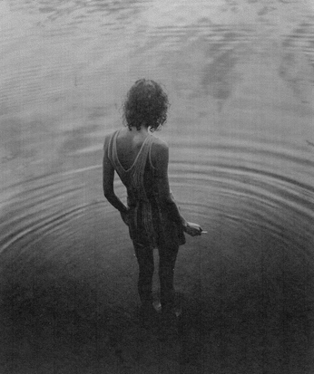 A cover of "Delicate Seed" cluster. The owner is stephcleary. The cluster consists of 3 elements.