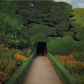 A cover of "landscaping" cluster. The owner is bleck. The cluster consists of 16 elements.