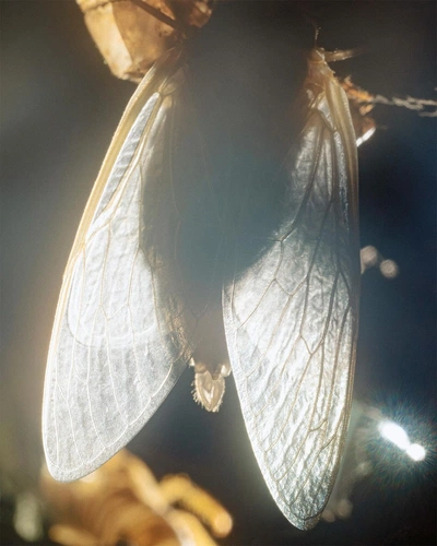 An Instagram carousel post added by aethereal.itf on Jun 05, 2024. The author is @atmos.