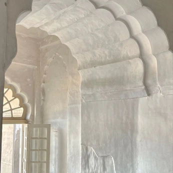 A cover of "lines, shapes, spaces" cluster. The owner is dailymusings. The cluster description is "architecture". The cluster consists of 91 elements.