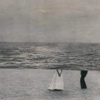 A cover of "collage" cluster. The owner is zana.p. The cluster consists of 8 elements.