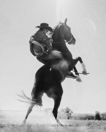 A cover of "Dynamic" cluster. The owner is erwanngharrison. The cluster consists of 5 elements.