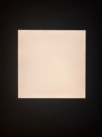 A cover of "Pink" cluster. The owner is mewig. The cluster consists of 13 elements.