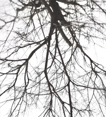 A cover of "ABC" cluster. The owner is jaybo. The cluster consists of 1 element.